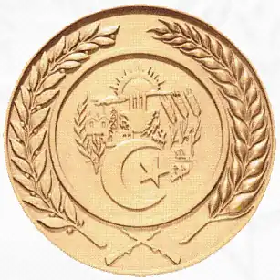 دائرة الاستعلام والأمن (الجزائر)