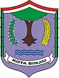 Official seal of Binjai