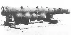 Accelerating gun by Lyman and Haskell (1883).