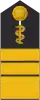 Admiralober­stabsarzt(Human medicine)