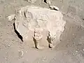 من بقايا اللابرنت