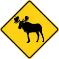 U.S. moose area.