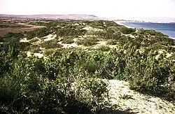 كثبان رملية