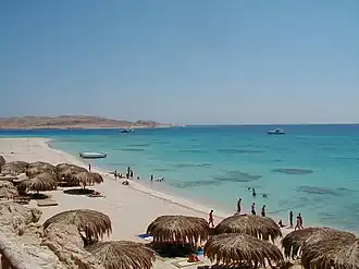 المحمية.