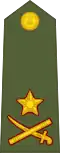الجيش الهندي