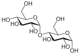 α-Maltose