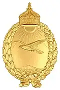 شارة للطيارين البحرية  1913