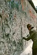 "Mauerspecht" (نوفمبر 1989)