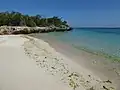 الساحل