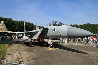 طائرة اف 15 ايغل للقوات الجوية الاسرائيلية التي تعرضت للحادث . كما بدت في 2011