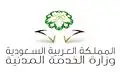 وزارة الخدمة المدنية (السعودية)