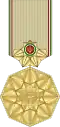 بدون إطار