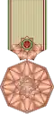 بدون إطار