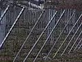مرازح معدنية