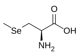 ميثيل سيلينوسيستئين