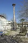 معبد "زيوس كاريوس" (Zeus Karios) في ميلاس.