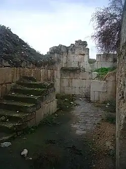 حطام قصر المنية، 2009
