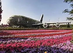 حديقة دبي المعجزة