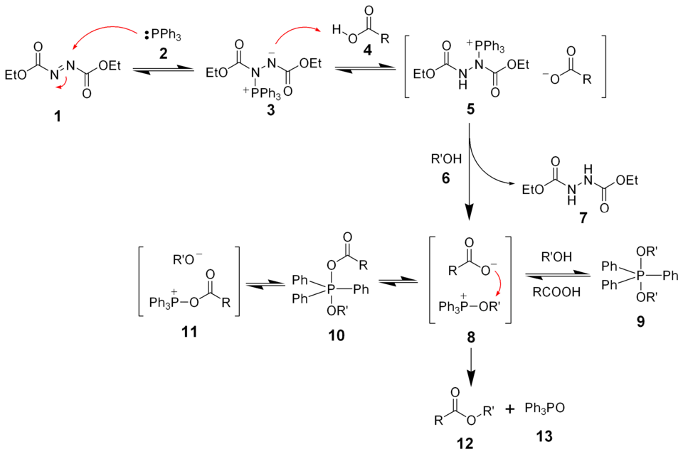 The mechanism of the Mitsunobu reaction