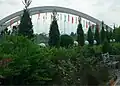 جسر معلق