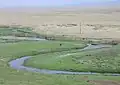 السهوب المنغولية