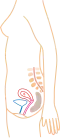 الشهر الأول