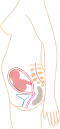 الشهر الخامس