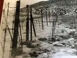 موريس لاين ، حوالي 1958-1959