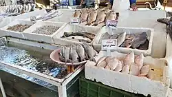 سمك بحري