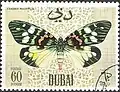 فراشة زهرة الجنة&nbsp;[الإنجليزية](Erasmia pulchella)