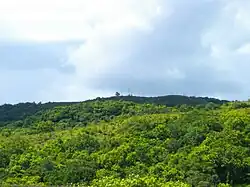 جبل نجيرشيلش&nbsp;&nbsp;[لغات أخرى]‏