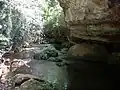جدول في المحمية