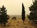 الطبيعة المحيطة بدير القديس سمعان العامودي