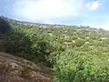 صورة من على جبل تيسراس بمنطقة أم الرخاء.