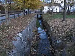 كلِمة «هِيربِست» الأَلمانِيَّة تَعنِي وَقَّتَ الحَصادُ، وسُمِيّ خَريفاً فِي اللُّغَة العربيّة لأَنه تُخرَفُ فيه الثِّمار أَي تُجتَنى. وفِي فَصلِ الخرِيفِ تتساوَى عدَد سَاعاتِ اللَّيلِ والنَّهار، وهُو بعضٌ مِن رَبيع وبِعضٍّ مِن صَيف وبِعضٍّ مَن بِرَدٍّ الشِّتاء الدَّافِئ. قَيل: أَن الوَرَقَة الَّتِي لَم تَسقُط فِي فَصلِ الخَرِيفِ، خائِنَةٌ فِي عُيُونِ أَخوَاتِهَا، وفِيَّةٌ فِي عَيَن الشَّجَرَة، مُتَمَرِّدَةٌ فِي عُيُونِ الفُصُول؛ فَالكُلُّ يَرَى المَوقِفَ مِن زَاوِيَتِهِ.