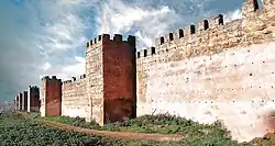 سور مسجد المنصورة