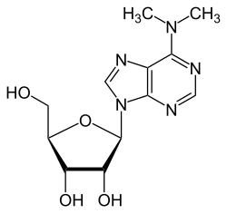 6N،6N-ثنائي ميثيل أدينوسين
