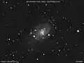 مستعر أعظم 2004dj في المجرة NGC 2403