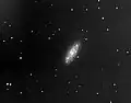 المجرة NGC 2976 صورة التقطها أحد هواة الفلك.