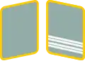 NSFK Gorget patches