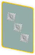 تصحيح NSFK Gorget