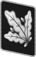 NSKK Gorget patch