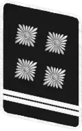 NSKK Gorget patch