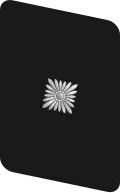 NSKK Gorget patch