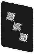 التصحيح NSKK Gorget