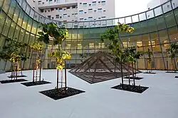 جامعة نيويورك أبو ظبي