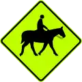 نيوزيلندا: فرسان..