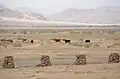 داخل المحمية