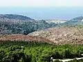 صورة من محمية وادي غاليم الطبيعية تُظهر المناظر الجبلية الخلابة والتضاريس الوعرة في جبل الكرمل