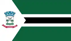 نانوك (ميناس جيرايس)